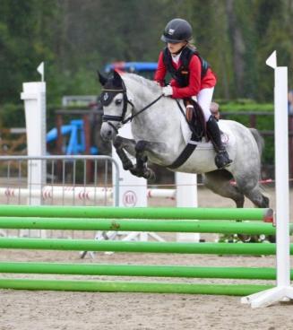 Bestgaande Rijpony, Oost- en West-Vlaanderen (Maldegem)