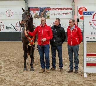 Gratis inkom voor Jong BWP'ers tijdens de Derde Fase van de BWP Hengstenkeuring