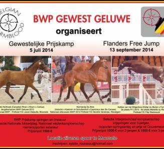 BWP Geluwe wenst  jullie een gezond en gelukkig 2014 toe