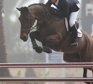 D'Ulien of Smeets & McLain Ward 3rd in Wellington