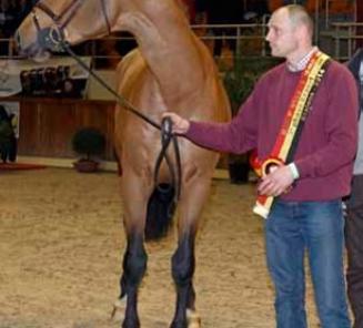 Young Breeder Award voor Geert Schepers