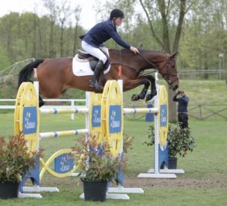 Elvis II van de Rhandiahoeve wint in Duitsland