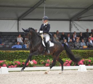 WK Dressuur Ermelo: Bailamos Biolley 2de bij Stallions of the Year