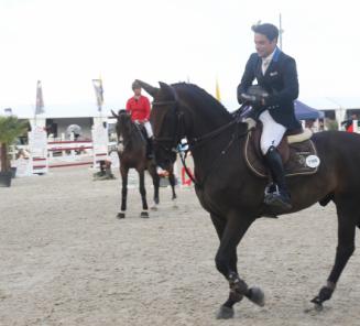 Jaleo van het Heuvelland wint de troosting bij de 7-jarigen