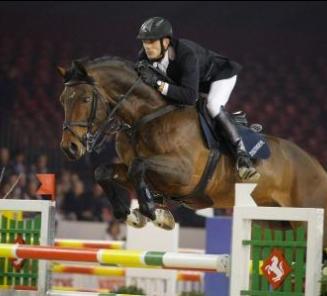 BWP Top Stallion Auction: 2de lot