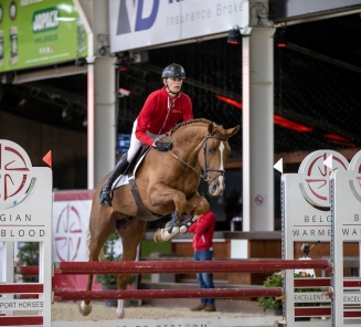 BWP wedstrijd jonge paarden