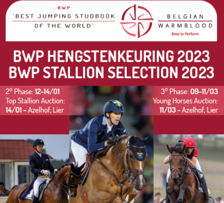 BWP Hengstenkeuring 2023