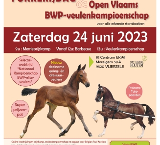 flyer fokkerijdag 2023