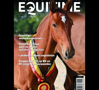 EquiTime oktober