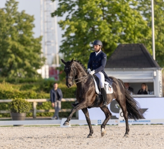 Sam Verheyden & Kryptonite van de Performing Stables