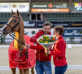 Quint van de Groenheuvel elitehengst