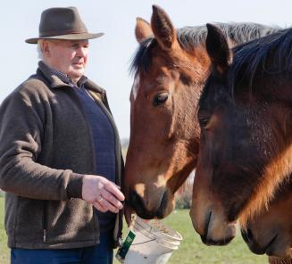 Paard in de kijker: Jonka-A, BWP-prestatiestam 7