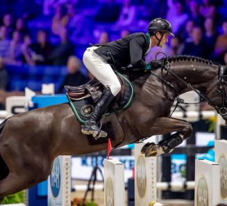 Olivier Philippaerts & BWP-elitehengst Le Blue Diamond van ’t Ruytershof winnen 1.55 Valkenswaard!