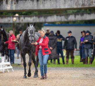 BWPers aan de start op WK jonge eventingpaarden