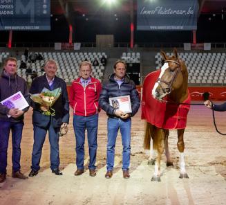 Eerste BWP Young Stallion Award voor Nixon van t Meulenhof