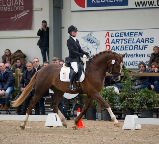 Dressage Gesves : Quanto Curo V/H Bloemenhof démarre bien chez les 4-ans. Dressage Gesves : Quanto Curo V/H Bloemenhof démarre bien chez les 4-ans.