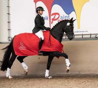 Daniel Deusser en Killer Queen VDM winnen de Sparkassen Youngster Cup