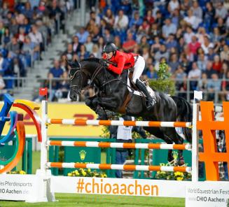 Jonge BWP paarden schitteren opnieuw in de Sparkassen Youngster cup / Iron man vd Padenborre foutloos in eerste ronde Nations Cup