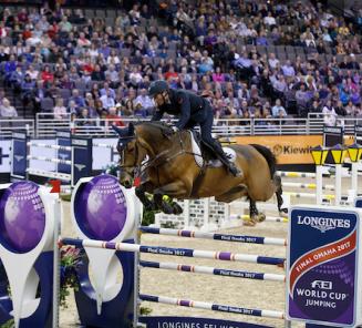 Shanghai: Outstanding Belgian Warmbloods