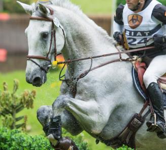 Eventing Sopot: Xavier Snackers en Giel Vanhouche presteren met hun BWPers