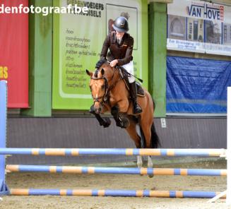 Bestgaande Rijpony: enkel Nationale wedstrijd dit jaar