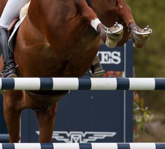 Joie de Vivre ter Eycken van fokker Michael De Bruyne wint GP Valencia!